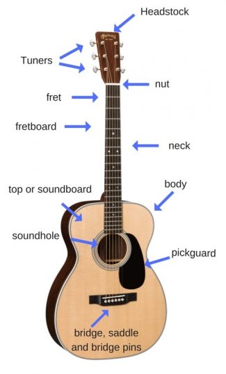 Acoustic Guitar Anatomy Diagram